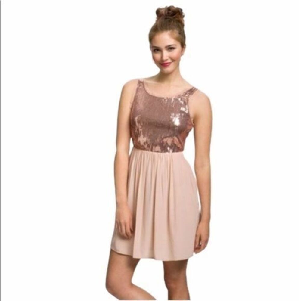 Lush Chiffon Sequin Dress - Blush
